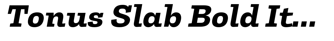 Tonus Slab Bold Italic